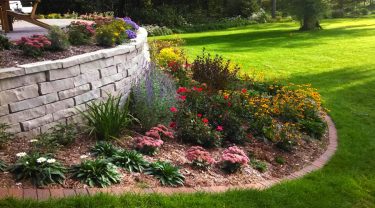 A beautiful garden display featuring a curved boxwood hedge surrounded by daylilies, crocosmia, and small colorful zinnias and lobellia.